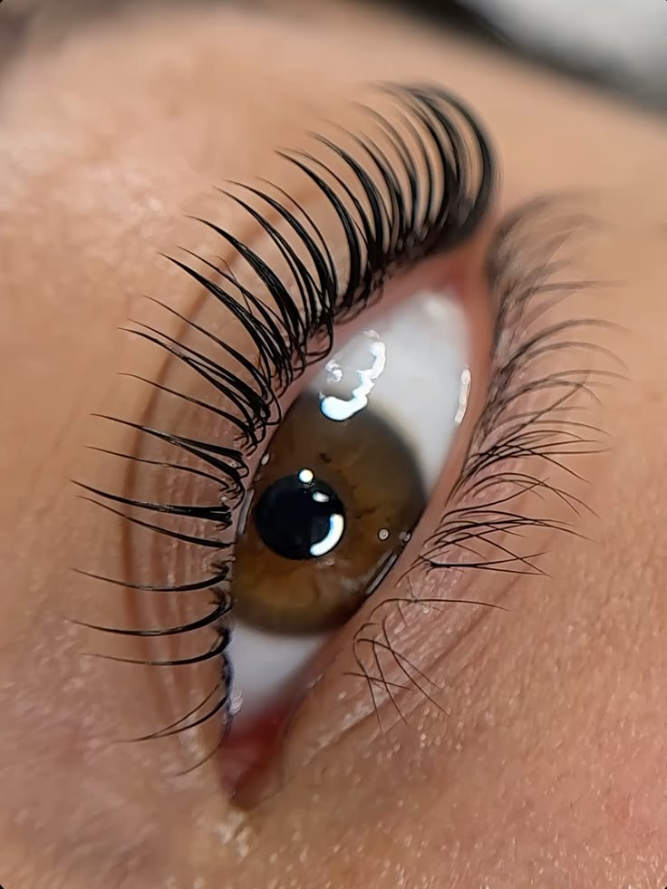 Macro de cílios em luz suave.